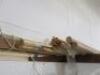 Qty of Approx 38 x 5m Lengths of Assorted Size Timber, Plus a Qty of Mouldings (As Viewed/Pictured) - 6