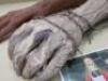 IRON MAIDEN MEMORABILIA - 2 x Original Iron Maiden "Walking Eddie Hands" from the Iron Maiden World Tour - 3