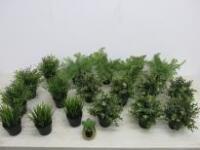 19 x Assorted Faux Plants. Approx Size 20-25cm