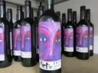 18 x Bottles of Valle De Colhagua Metic Merlot 2109, 75cl