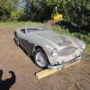 Austin Healey (1961) 3000 MK1 BN7 Convertible. Restoration Project with 'NO RESERVE' - 11