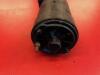 Austin Healey 3000 Starter Motor - 3