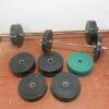 Lot of Professional Free-Weights to Include: - 2