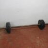 Lot of Professional Free-Weights to Include: - 8
