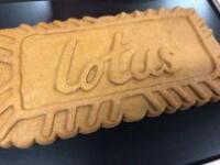 LOTUS Biscuit Shaped Wall Plaque. Size H26cm x W50cm.