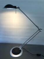 Angle Poised Adjustable Desk Lamp.