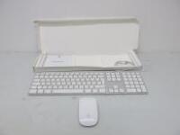 Apple Keyboard, Model A1243 with Apple Wireless Mouse, Model A1296.