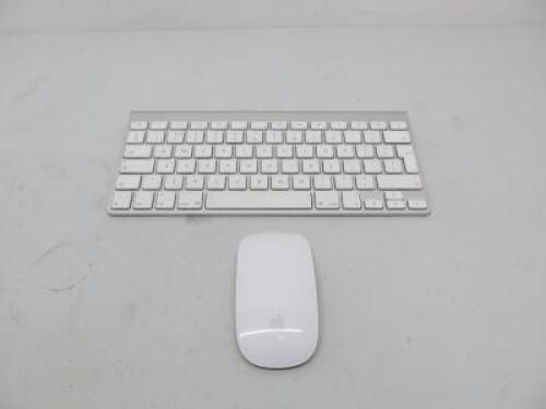 Apple Wireless Keyboard, Model A1314 with Apple Wireless Mouse, Model A1296.