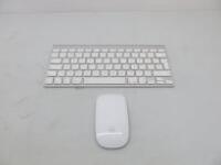 Apple Wireless Keyboard, Model A1314 with Apple Wireless Mouse, Model A1296.