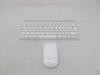 Apple Wireless Keyboard, Model A1314 with Apple Wireless Mouse, Model A1296.