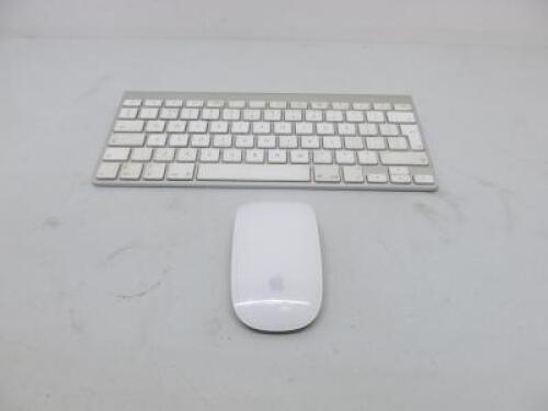 Apple Wireless Keyboard, Model A1314 with Apple Wireless Mouse, Model A1296.