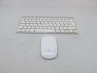 Apple Wireless Keyboard, Model A1314 with Apple Wireless Mouse, Model A1296.