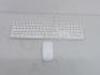 Apple Keyboard, Model A1243 with Apple Wireless Mouse, Model A1660.