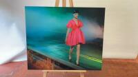 Lady with Pink Dress, Self Adhesive Vinyl Print, Mounted on Di-Bond with Aluminium Frame. Size H75cm x W90cm.