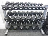 24 x Bodymax Dumbbell Training Weights to Include: 2 x 20kg, 2 x 15kg, 2 x 12.5kg, 2 x 10kg, 2 x 8kg, 2 x 7kg, 2 x 5kg, 2 x 6 2 x 4kg, 2 x 3kg, 2 x 2kg, 2 x 1kg. Comes with Body Solid Rack.