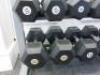 24 x Bodymax Dumbbell Training Weights to Include: 2 x 20kg, 2 x 15kg, 2 x 12.5kg, 2 x 10kg, 2 x 8kg, 2 x 7kg, 2 x 5kg, 2 x 6 2 x 4kg, 2 x 3kg, 2 x 2kg, 2 x 1kg. Comes with Body Solid Rack. - 3