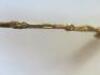 Set of Six Solid Silver Gilt Coronation Spoon Set, Year 1906. Comes in Presentation Case. NOTE: description as per shop label. - 6