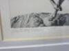 E.Gou 'Porchilla Fetusa' Limited Edition Framed & Glazed Print 24/75. Size 42 x 32cm. - 3