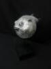 Kare Design Deco Blowfish. - 4