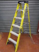 Werner 6 Tred Fibreglass Step Ladder.