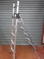 Youngman 3 Way Combination Ladder.