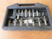 Set of 13 Trend Router Bits in Carry Case.