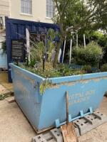 6 Yard Skip, Converted to Metal Box Garden with Tree