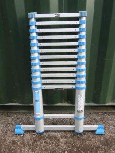 MaCallister Telescopic Extension Ladder, H3.8m, Max Capacity 150kg.