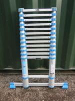 MaCallister Telescopic Extension Ladder, H3.8m, Max Capacity 150kg.