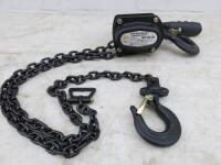 GT 500kg Heavy Duty Lever Hoist with 1.5m Chain. DOM 12/2020. Comes with Test Certificate.