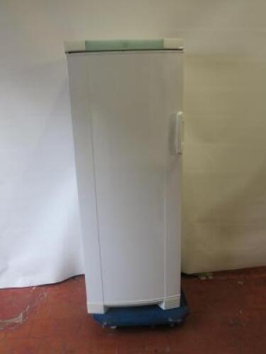 Electrolux Upright Free Standing Refrigerator, Model Zerc 3025. Size H160cm x W60cm x D 55cm.