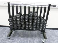 Set of 48 York Dumbbells on Mobile Metal Rack with Anti Lock Bar, Range 1.5Kg to 5Kg.