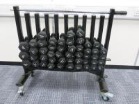 Set of 48 York Dumbbells on Mobile Metal Rack with Anti Lock Bar, Range 1.5Kg to 5Kg.