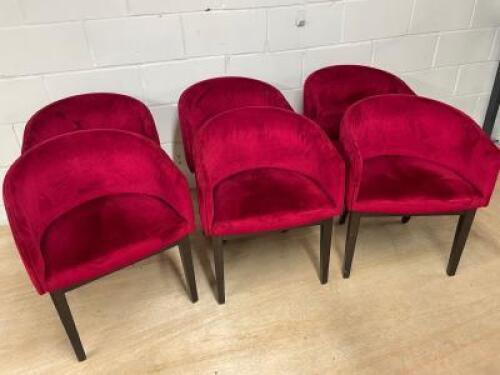 6 x Accento Lounge Chair on Brown Wooden Frame & Upholstered in Velvet Red Velour Fabric.