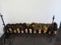 25 x Hairstylist Training Heads, 16 x Desk/Surface Clamps & 2 x Tripod Stands.