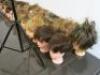 25 x Hairstylist Training Heads, 16 x Desk/Surface Clamps & 2 x Tripod Stands. - 4
