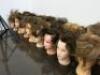 25 x Hairstylist Training Heads, 16 x Desk/Surface Clamps & 2 x Tripod Stands. - 5