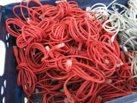 40 x CAT 5e Red Ethernet Patch Cables & Assorted Other Cables.