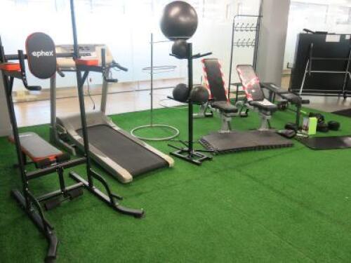 Contents of Small Gym to Include: Tunturi T30 Running Machine, Ephex Multi Station Pull-Up/Dip/Bench, 2 x Adjustable Weight Benches, Lions Bench, Weight Bar with Weights, Rubber Matting, Workout Ball with Stand, Medicine Balls & Stand, Coat Rack & Other I