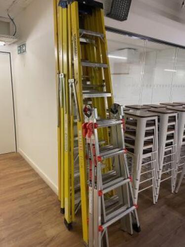 4 x Assorted Workmans Ladders to Include: 3 x Step Ladders (Youngman & Other) & 1 x Little Giant Mega Max 3 in 1 Ladder.